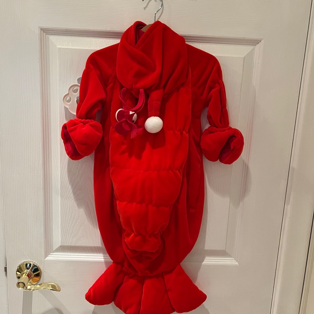 Lobster 🦞 Costume for Halloween